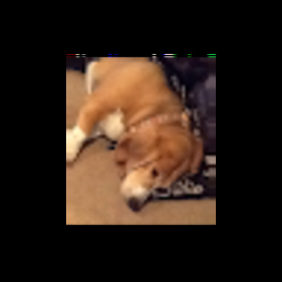 Meet your Posher, Kalynn - Picture 1 of 1